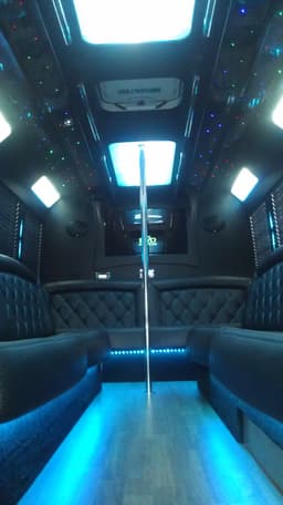 16-20 Passenger Party Bus