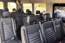 14 Executive Silver Sprinter