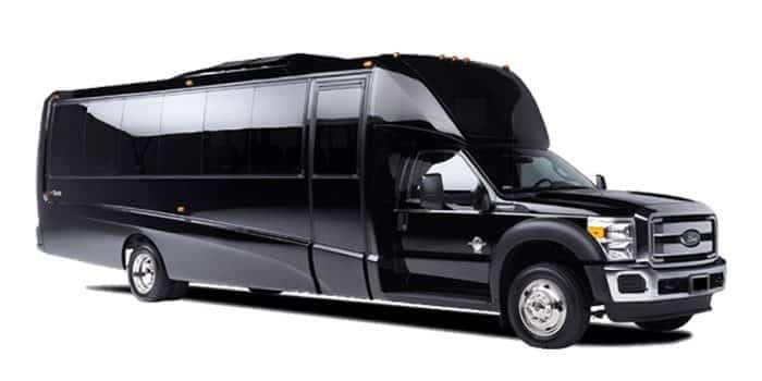 16-20 Passenger Party Bus